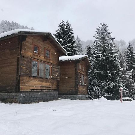 Kardelen Bungalov Evleri̇ Ayder Yaylasi Exterior photo