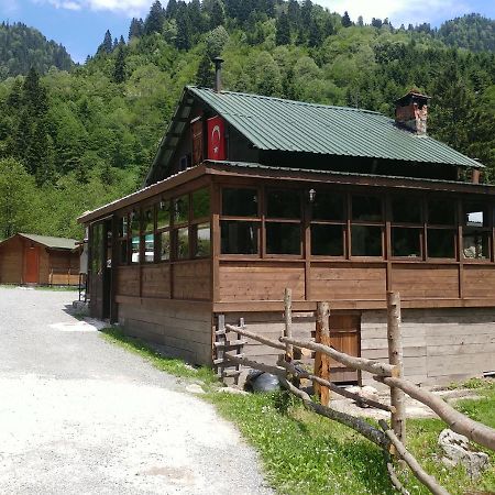 Kardelen Bungalov Evleri̇ Ayder Yaylasi Exterior photo