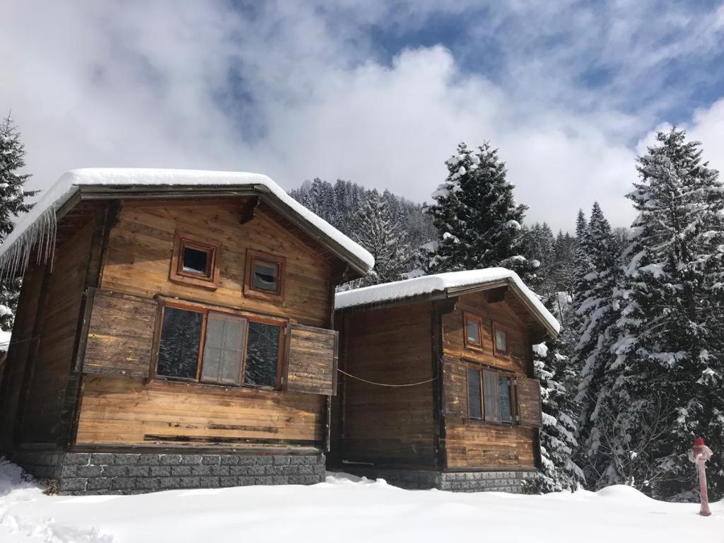 Kardelen Bungalov Evleri̇ Ayder Yaylasi Exterior photo